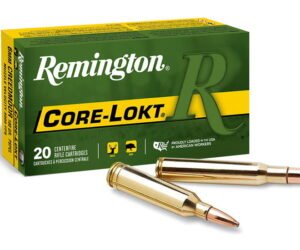Remington Core-Lokt .30-30 Winchester 170 Grain Core-Lokt Hollow Point 500 rounds
